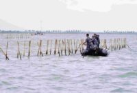 Pagat laut PIK 2.