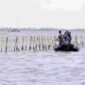 Pagat laut PIK 2.