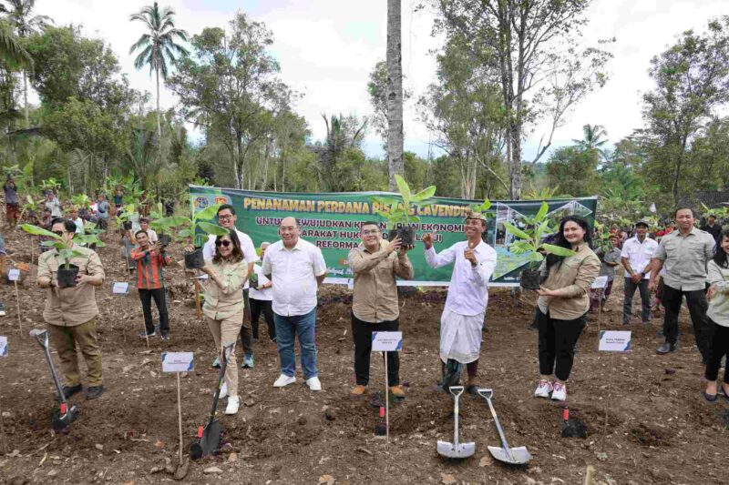 Kementerian ATR/BPN.