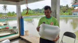 Balai Benih Ikan (BBI) Sukamaju.