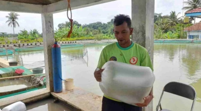 Balai Benih Ikan (BBI) Sukamaju.
