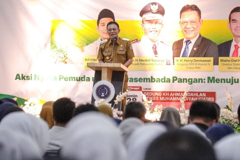 Bupati Ciamis, Herdiat Sunarya berikan sambutan di Seminar Nasional di Aula Stikes Muhammadiyah Ciamis, Senin (28/4).