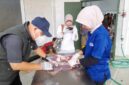 Pemeriksaan post mortem di RPH Ciamis.