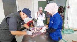 Pemeriksaan post mortem di RPH Ciamis.