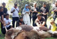 Miranti Mayangsari tengah berdoa bersama dengan para Relawan Sahabat Miranti sebelum pelaksanaan penyembelihan hewan kurban.