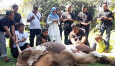 Miranti Mayangsari tengah berdoa bersama dengan para Relawan Sahabat Miranti sebelum pelaksanaan penyembelihan hewan kurban.